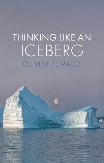 Olivier Remaud - Thinking Like an Iceberg, E-bok