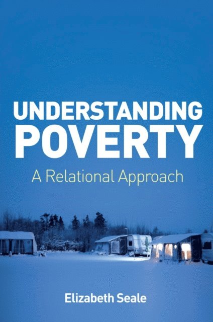 Elizabeth Seale - Understanding Poverty, E-bok
