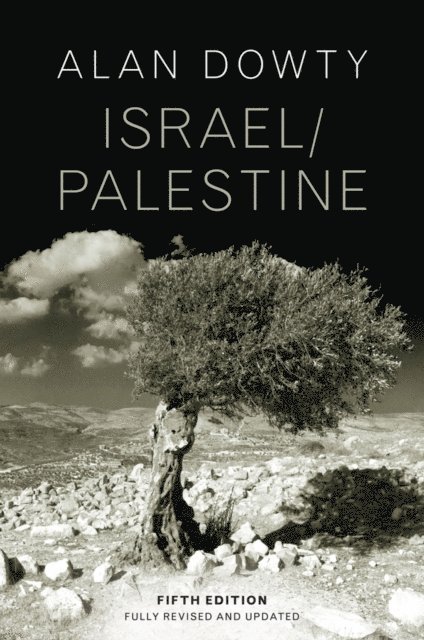 Alan Dowty - Israel / Palestine, E-bok