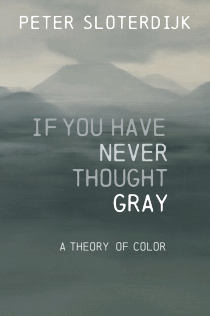 Peter Sloterdijk - If You Have Never Thought Gray, E-bok