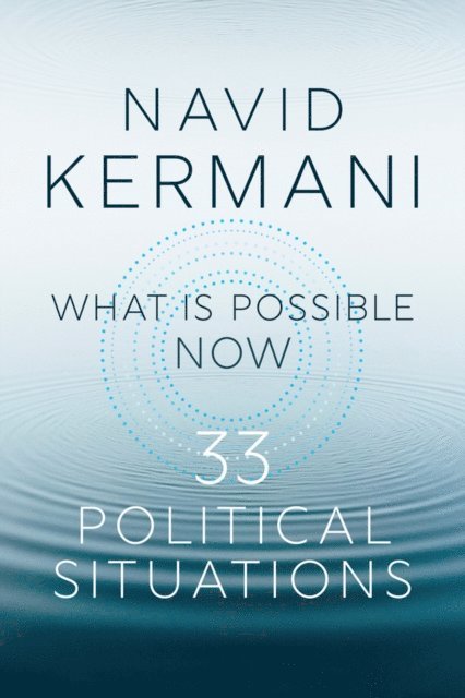 Navid Kermani - What is Possible Now, E-bok