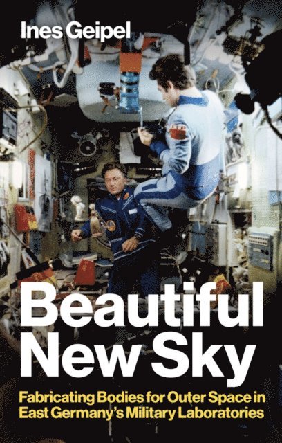 Ines Geipel - Beautiful New Sky, E-bok