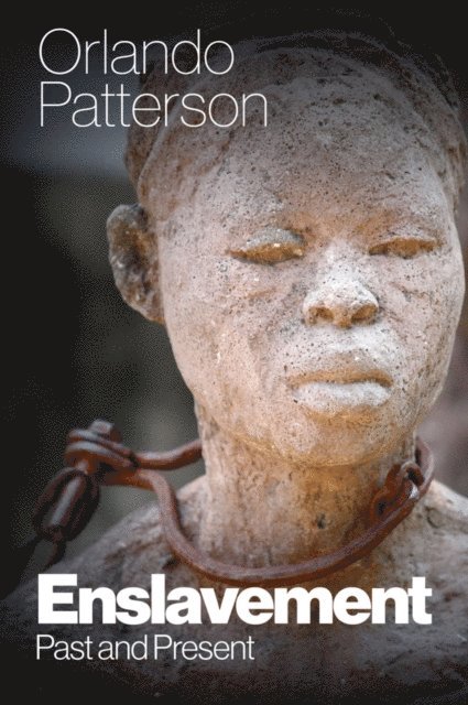Orlando Patterson - Enslavement, E-bok