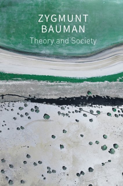 Zygmunt Bauman, Jack Palmer, Mark Davis, Dariusz Brzezinski, Thomas Campbell - Theory and Society, E-bok