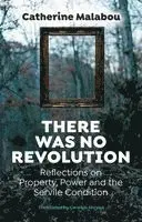 There Was No Revolution