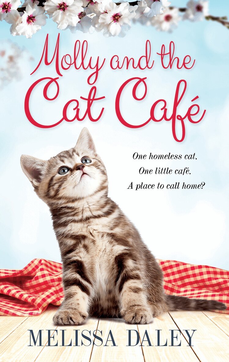 Melissa Daley - Molly and the Cat Cafe, E-bok