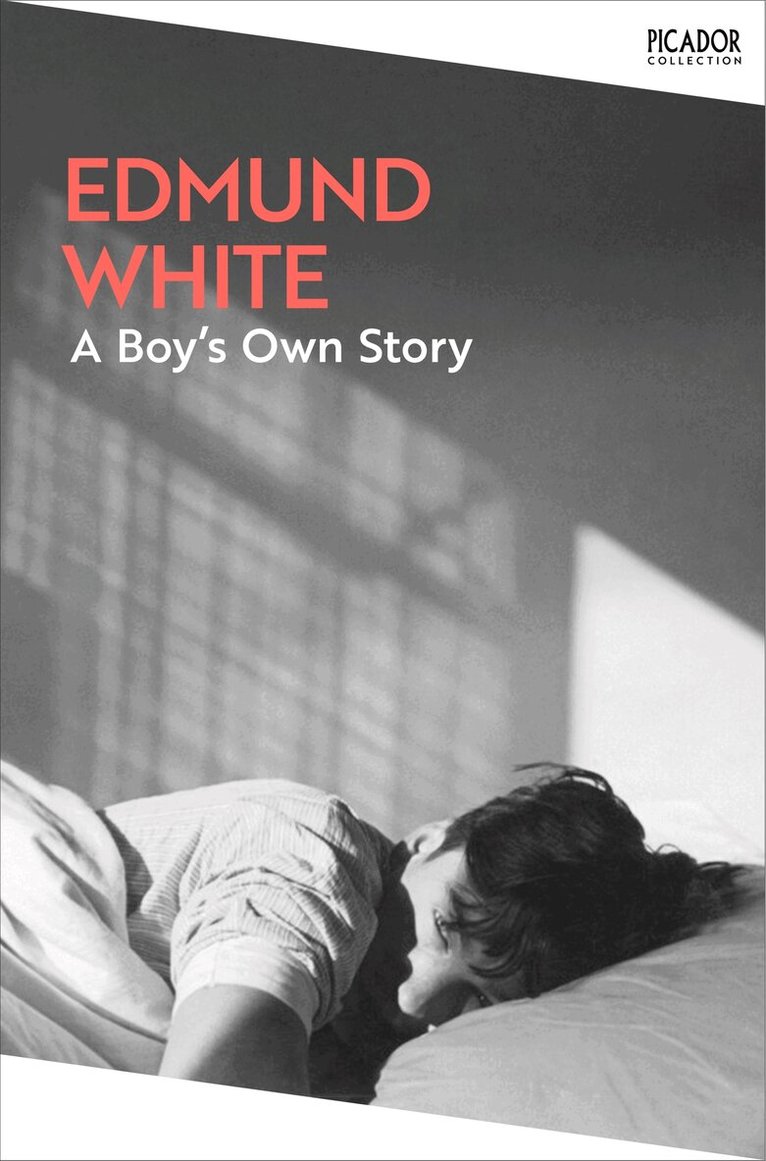 Edmund White - Boy's Own Story, E-bok