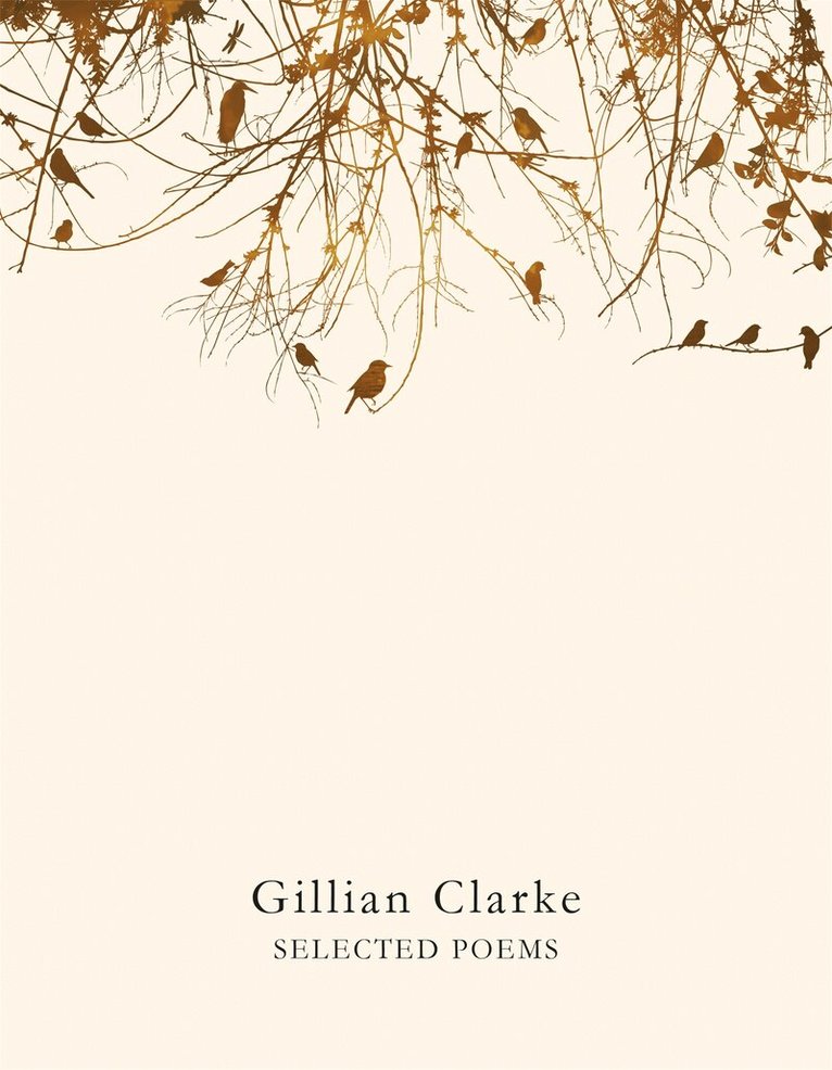 Gillian Clarke - Selected Poems, E-bok