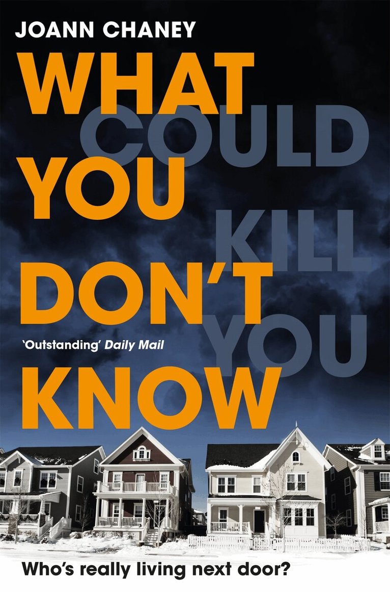 JoAnn Chaney - What You Don't Know, Häftad