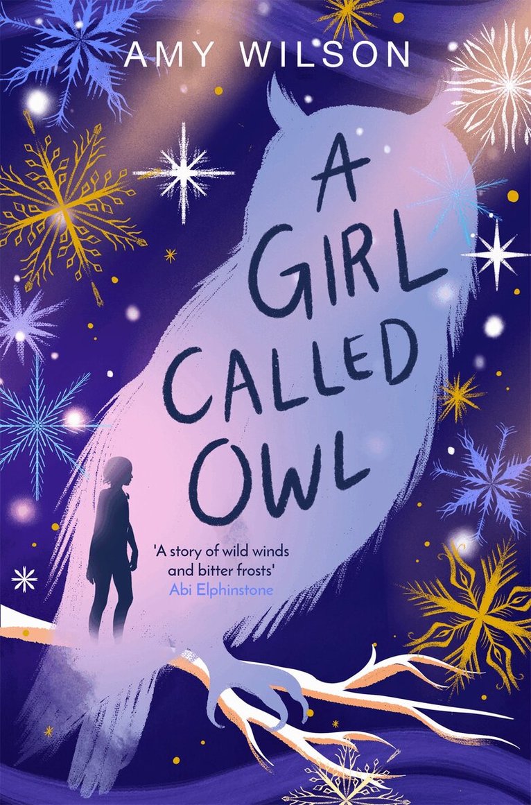 Amy Wilson - Girl Called Owl, E-bok
