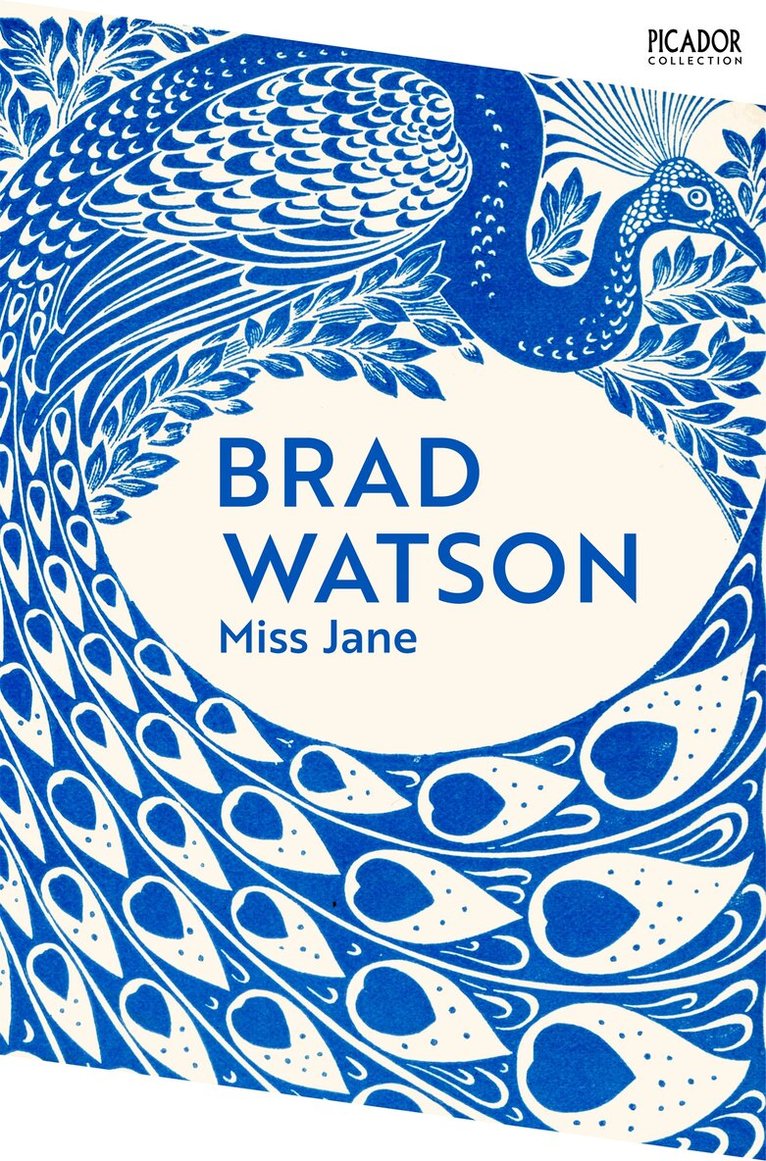 Brad Watson - Miss Jane, E-bok