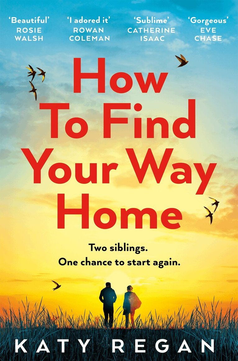 Katy Regan - How To Find Your Way Home, E-bok