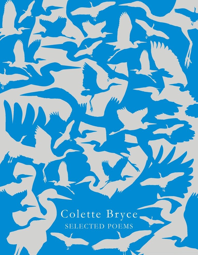 Colette Bryce - Selected Poems, E-bok