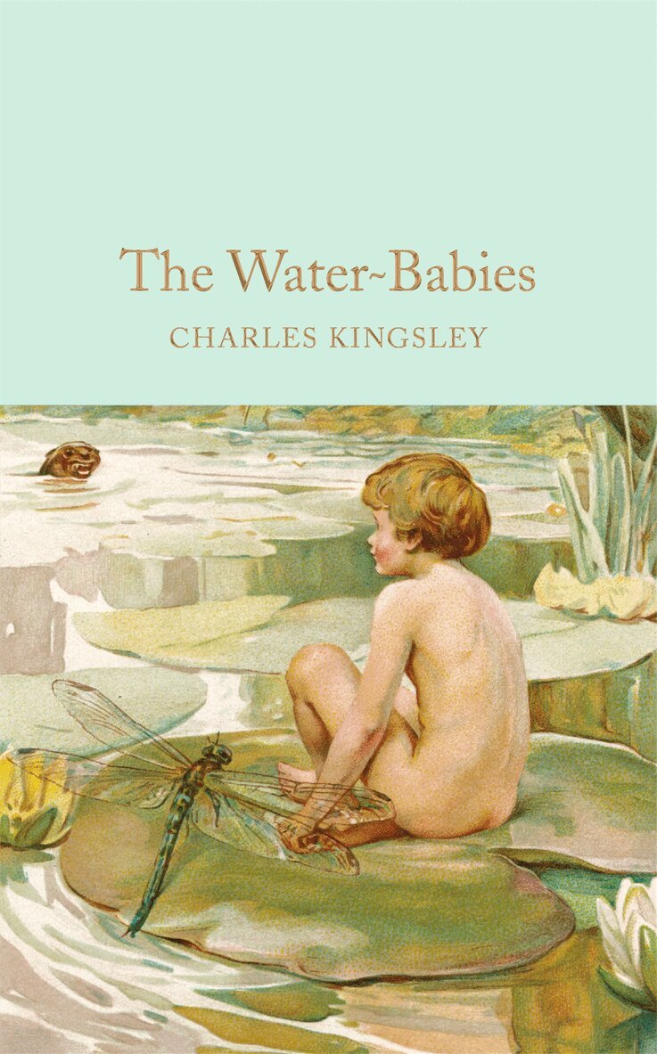 Charles Kingsley - Water-Babies, E-bok