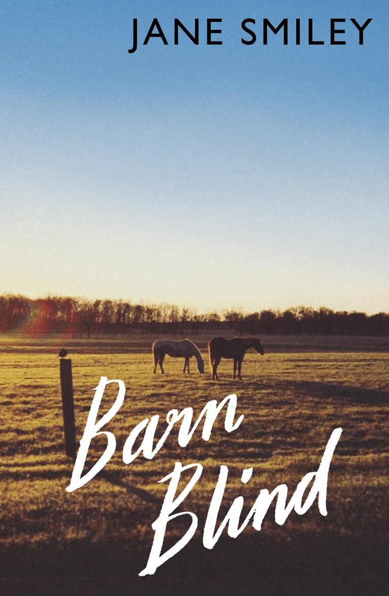 Jane Smiley - Barn Blind, E-bok