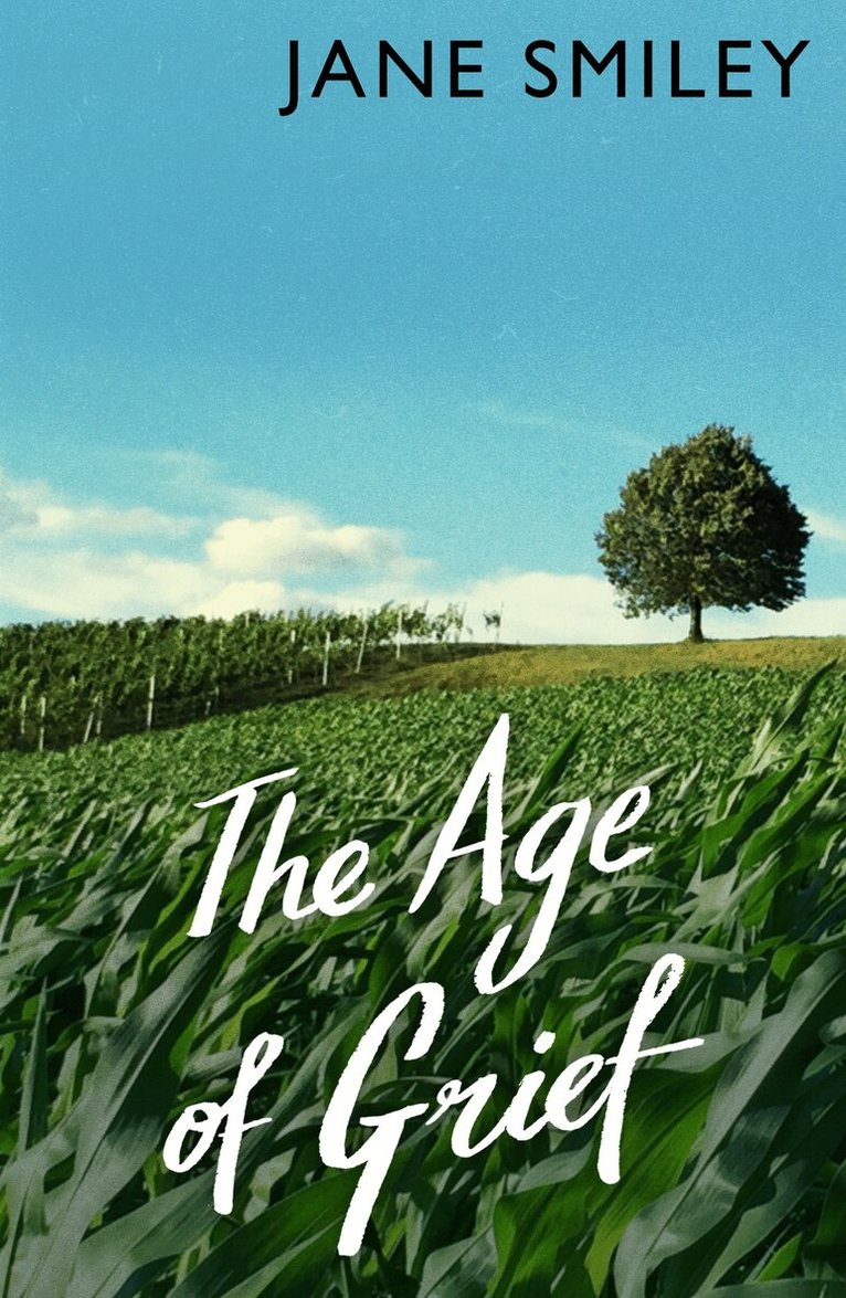 Jane Smiley - Age of Grief, E-bok