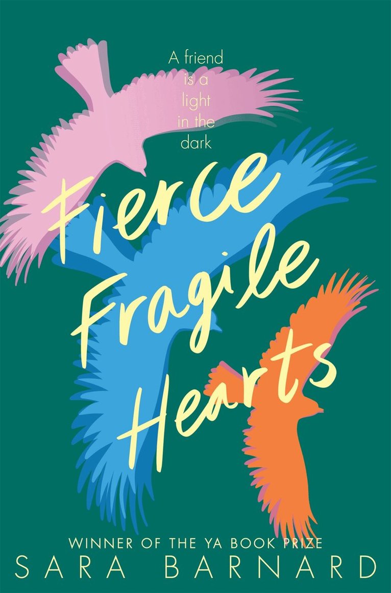 Sara Barnard - Fierce Fragile Hearts, E-bok