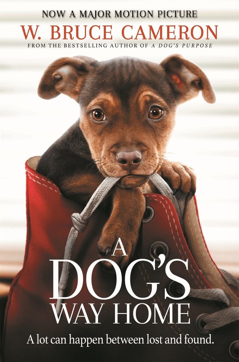 W. Bruce Cameron - Dog's Way Home, E-bok