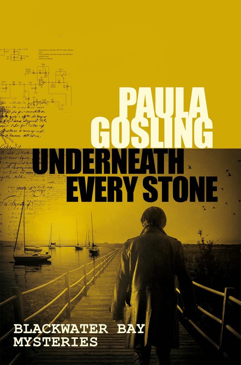 Paula Gosling - Underneath Every Stone, E-bok