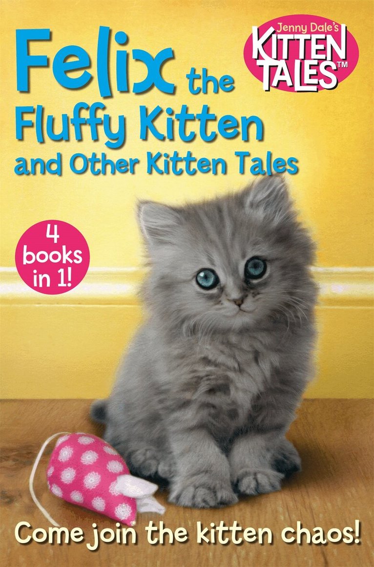 Jenny Dale - Felix the Fluffy Kitten and Other Kitten Tales, E-bok