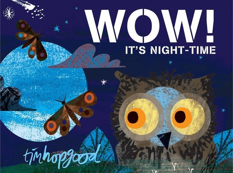 Tim Hopgood - WOW! It's Night-time, E-bok