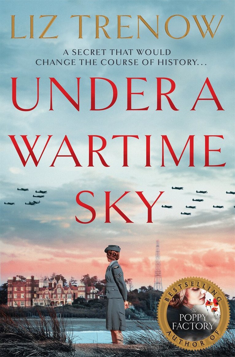 Liz Trenow - Under a Wartime Sky, E-bok