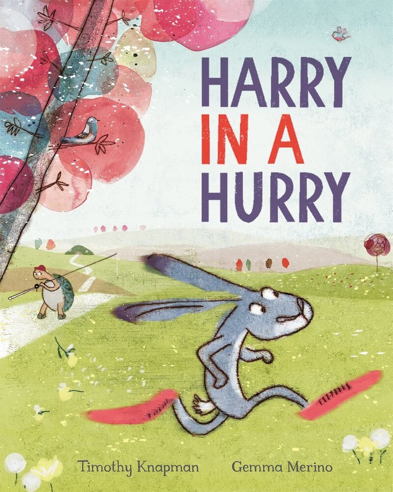 Timothy Knapman - Harry in a Hurry, E-bok