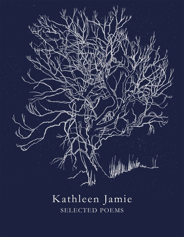 Kathleen Jamie - Selected Poems, E-bok