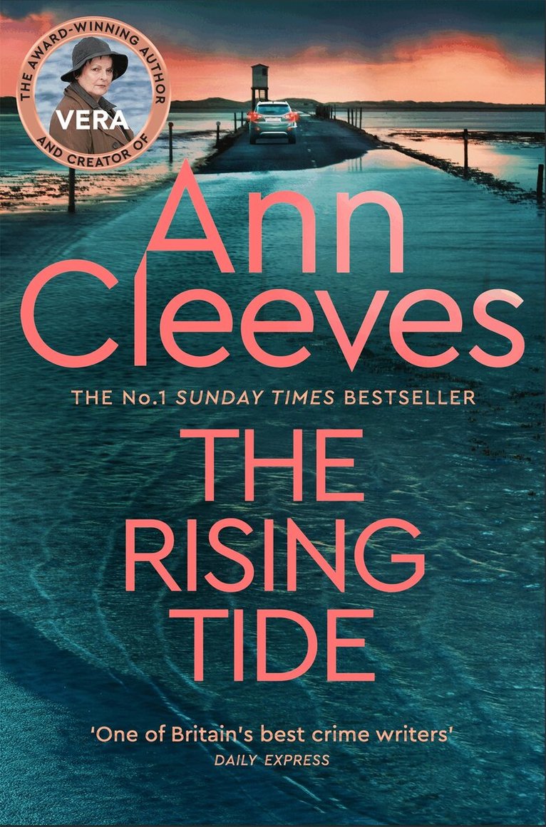 Ann Cleeves - Rising Tide, E-bok