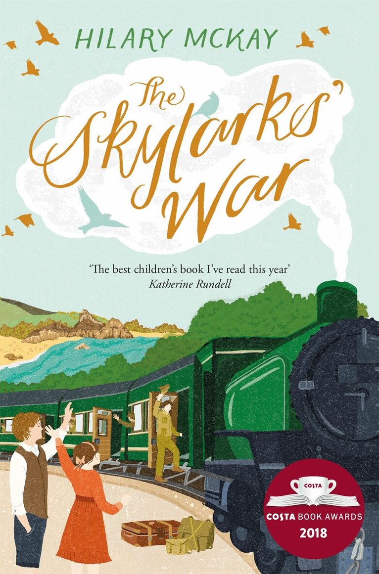 Hilary McKay - Skylarks' War, E-bok