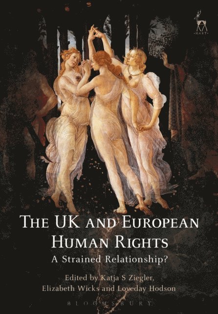 Katja S Ziegler, Elizabeth Wicks, Loveday Hodson - UK and European Human Rights, E-bok