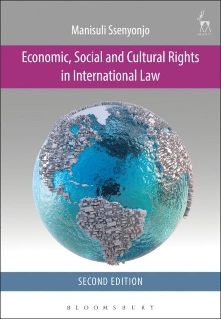 Manisuli Ssenyonjo - Economic, Social and Cultural Rights in International Law, E-bok