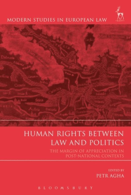 Petr Agha - Human Rights Between Law and Politics, E-bok