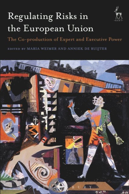 Maria Weimer, Anniek de Ruijter - Regulating Risks in the European Union, E-bok