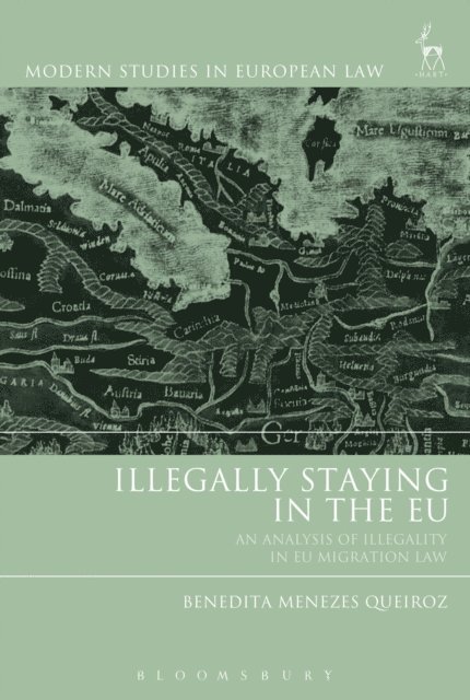Benedita Menezes Queiroz - Illegally Staying in the EU, E-bok