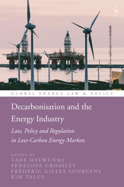 Tade Oyewunmi, Penelope Crossley, Frédéric Gilles Sourgens, Kim Talus - Decarbonisation and the Energy Industry, E-bok