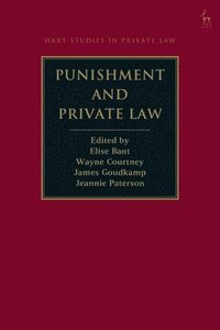 Punishment and Private Law