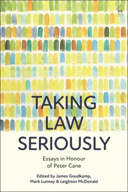 James Goudkamp, Mark Lunney, Leighton McDonald - Taking Law Seriously, E-bok