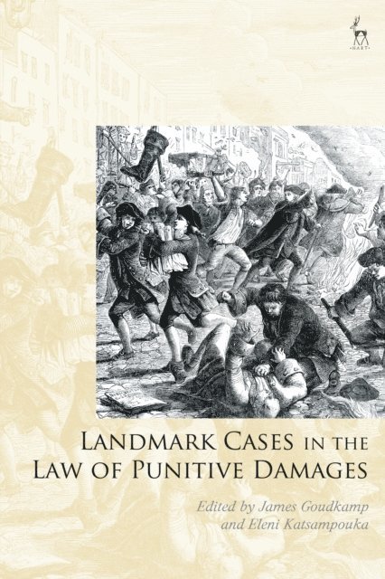James Goudkamp, Eleni Katsampouka - Landmark Cases in the Law of Punitive Damages, E-bok