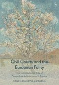 Civil Courts and the European Polity
