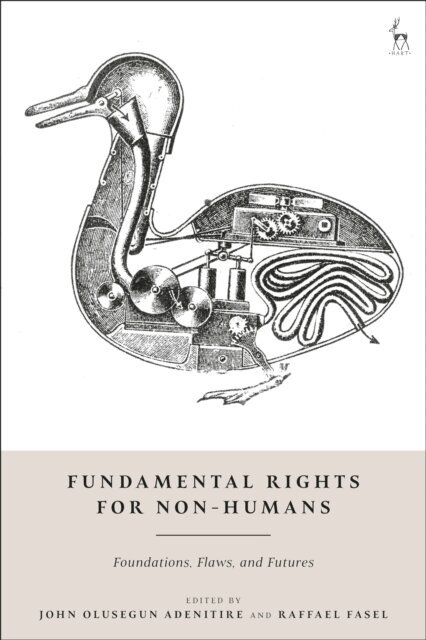 John Olusegun Adenitire, Raffael Fasel - Fundamental Rights for Non-Humans, E-bok