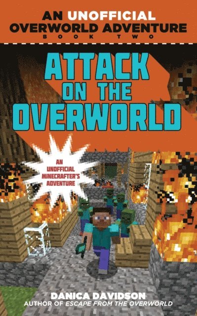 Danica Davidson - Attack on the Overworld, E-bok