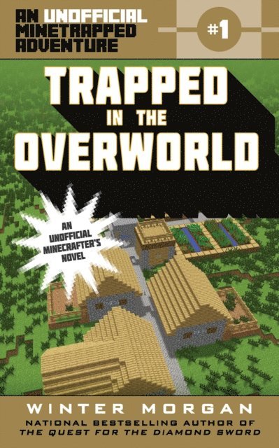 Winter Morgan - Trapped in the Overworld, E-bok