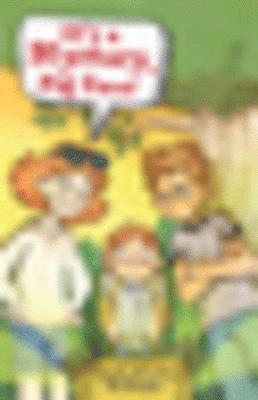 Wendy McLeod MacKnight - It's a Mystery, Pig Face!, E-bok