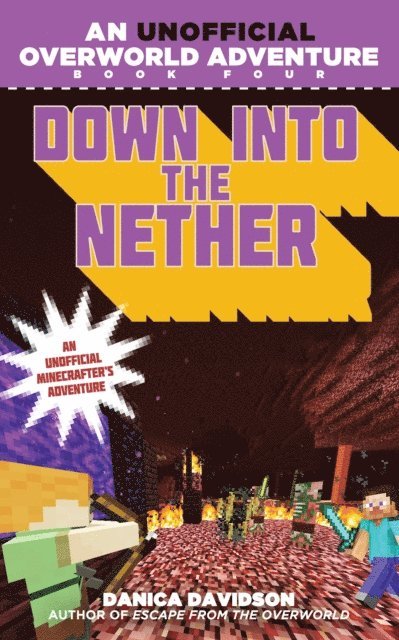 Danica Davidson - Down into the Nether, E-bok