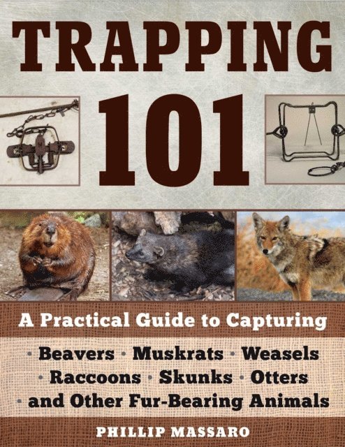 Philip Massaro - Trapping 101, E-bok