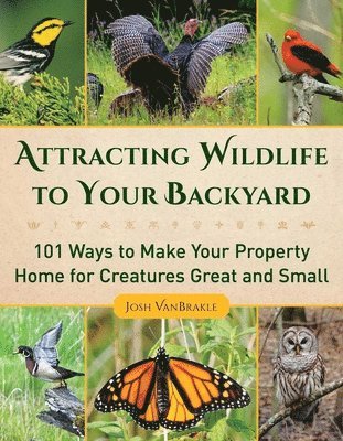 Josh VanBrakle - Attracting Wildlife to Your Backyard, Häftad. Tillgänglighet: Lägg i varukorg