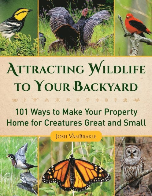 Josh VanBrakle - Attracting Wildlife to Your Backyard, E-bok