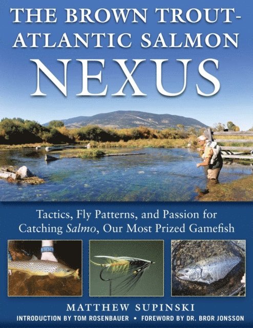 Supinski Matthew - Brown Trout-Atlantic Salmon Nexus, E-bok