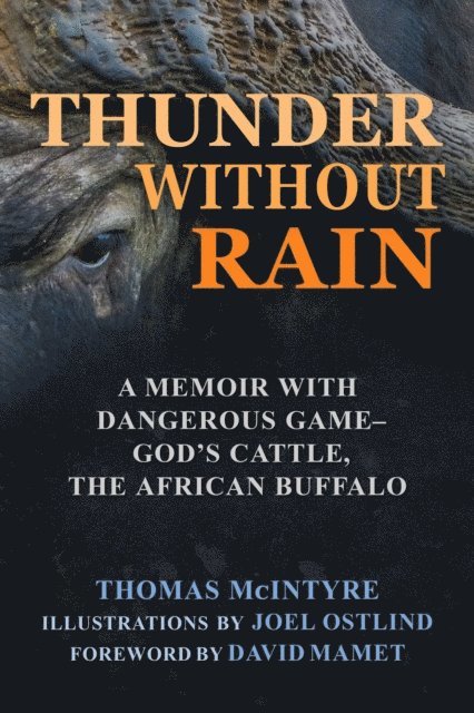 Thomas McIntyre - Thunder Without Rain, E-bok